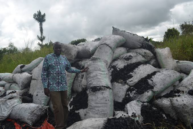 THE CHARCOAL BAN: WHAT’S BEHIND THE CRACKDOWN?